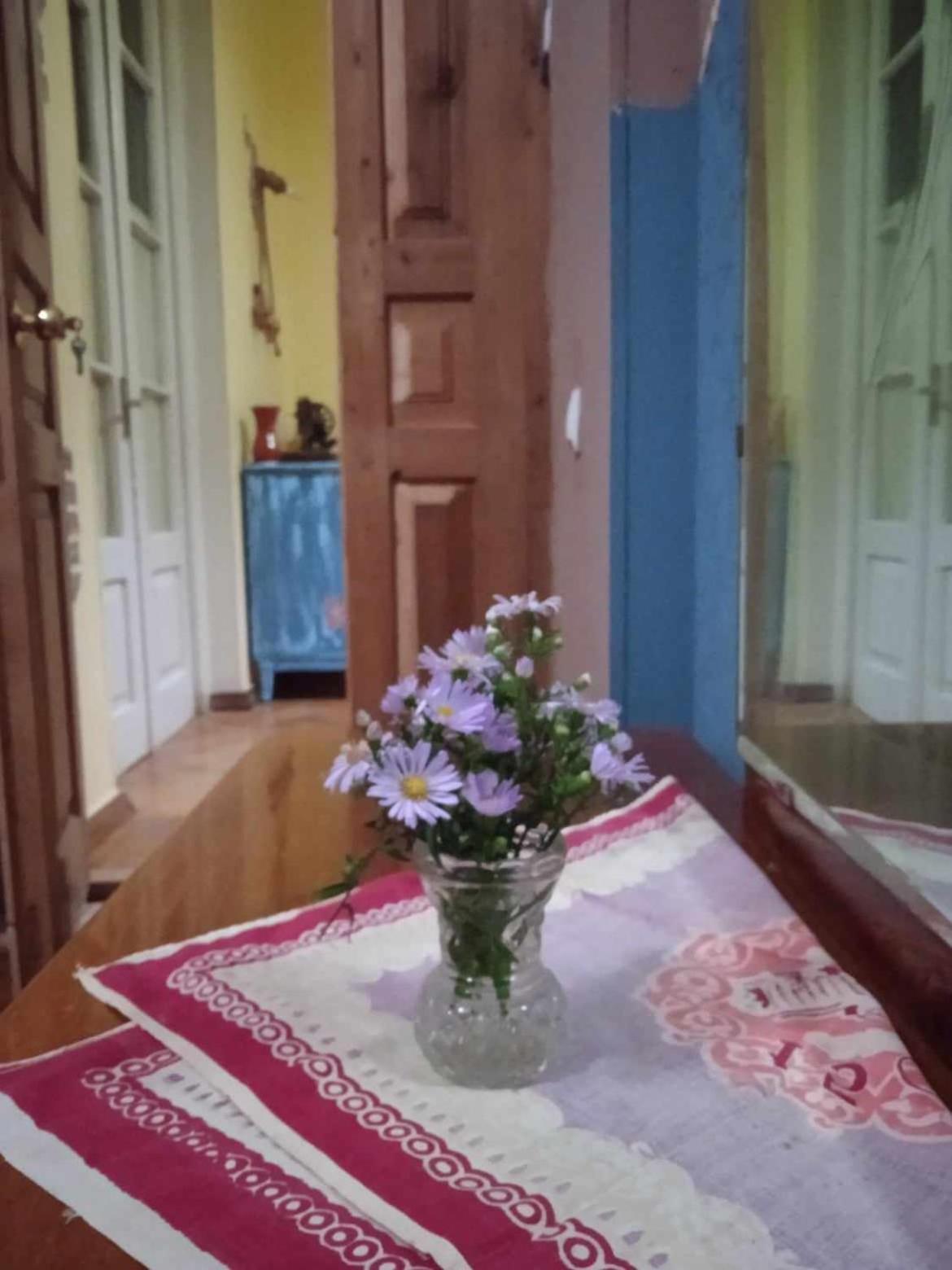 Guest House Meri Poppins Dedoplis Tskaro Esterno foto